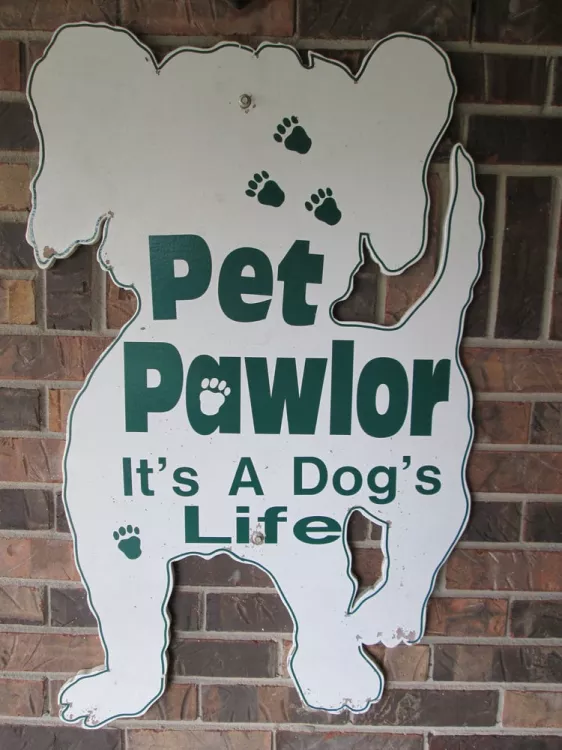 Pet Pawlor, Tennessee, Madison